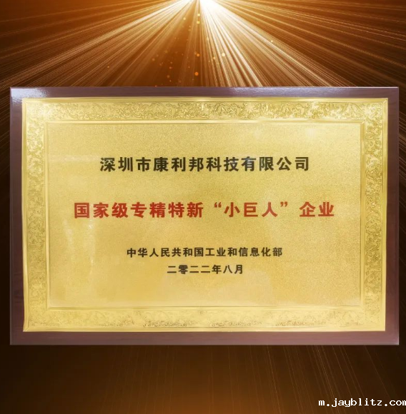 国家工信部颁发的国家级专精特新“小巨人”